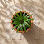 Terra Veda Planter - Handcrafted terracotta earthenware by Soul Of Soil - View 2