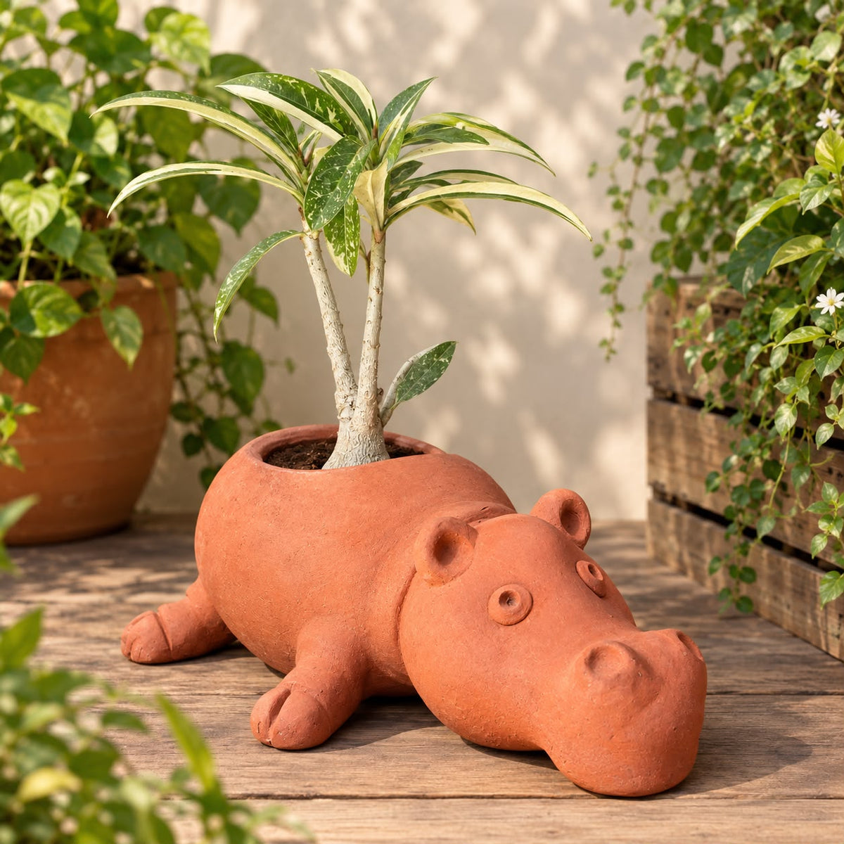 Terracotta Hippo Planter - Handcrafted terracotta earthenware by Soul Of Soil - View 2