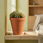 Terra Veda Planter — Handmade Terracotta Plant Pot