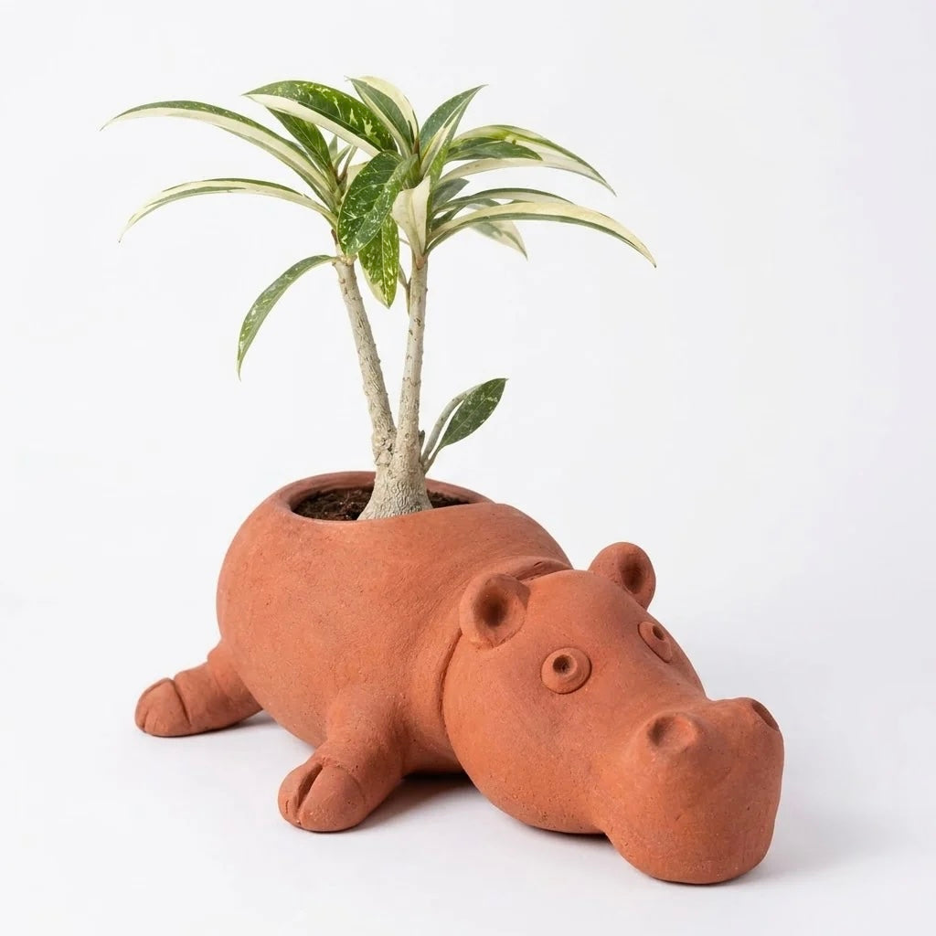 Terracotta Hippo Planter - Handcrafted terracotta earthenware by Soul Of Soil