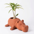 Terracotta Hippo Planter - Handcrafted terracotta earthenware by Soul Of Soil